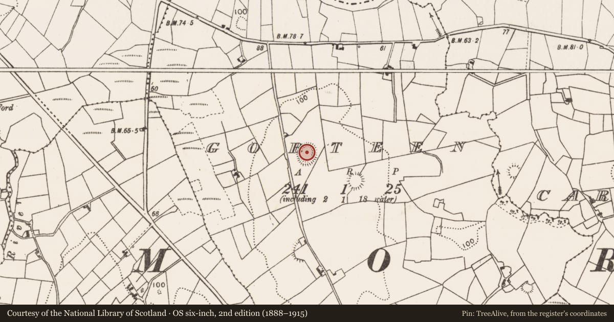 Ordnance Survey six-inch map, 2nd edition (1888–1915) covering the location of Ringfort - rath, Gorteen, County Mayo, with a pin at the register's coordinates