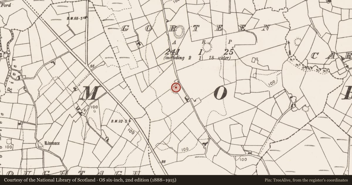 Ordnance Survey six-inch map, 2nd edition (1888–1915) covering the location of Souterrain, Gorteen, County Mayo, with a pin at the register's coordinates