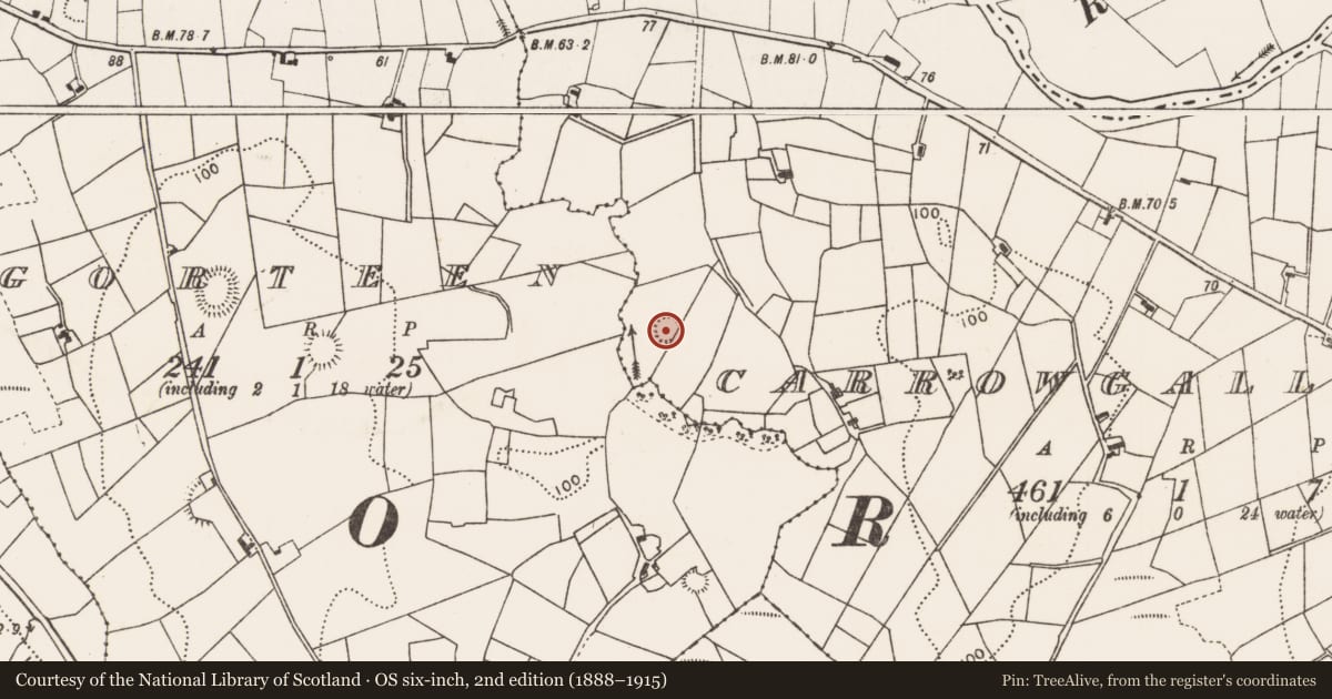 Ordnance Survey six-inch map, 2nd edition (1888–1915) covering the location of Ringfort - rath, Carrowgallda, County Mayo, with a pin at the register's coordinates