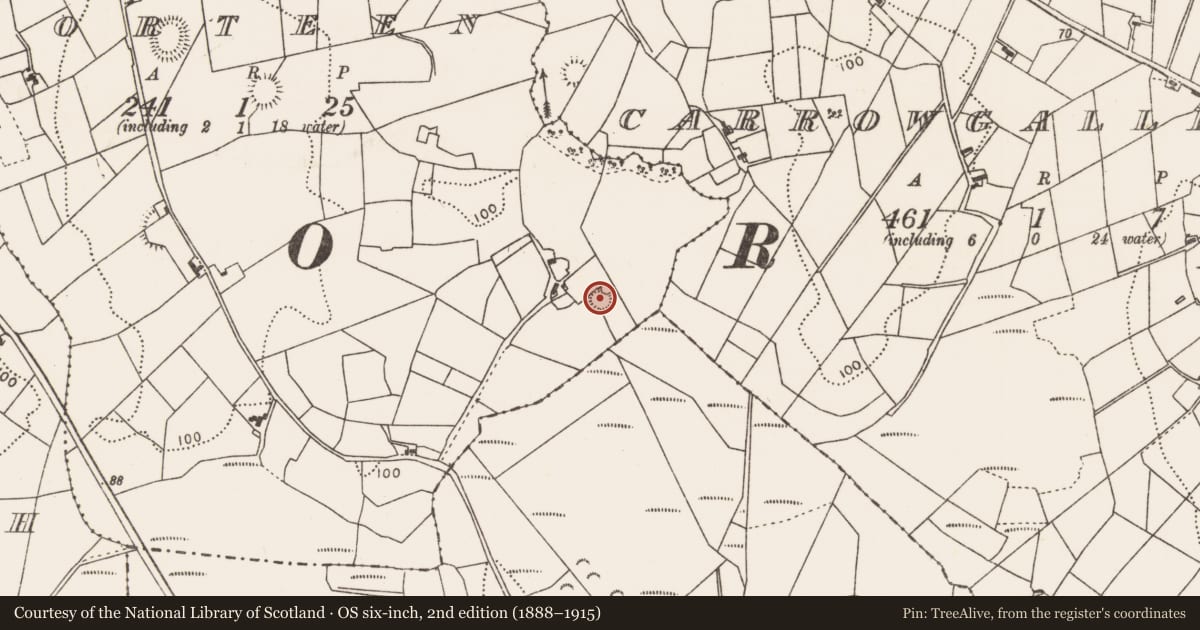 Ordnance Survey six-inch map, 2nd edition (1888–1915) covering the location of Enclosure, Gorteen, County Mayo, with a pin at the register's coordinates