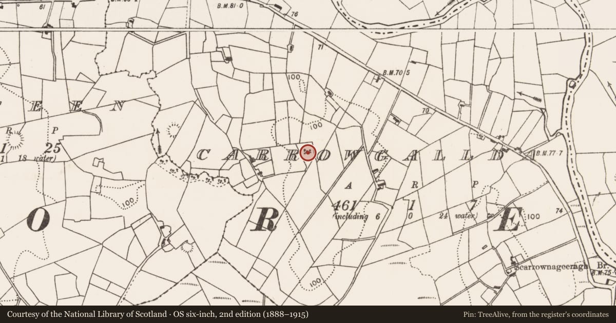Ordnance Survey six-inch map, 2nd edition (1888–1915) covering the location of Ringfort - rath, Carrowgallda, County Mayo, with a pin at the register's coordinates
