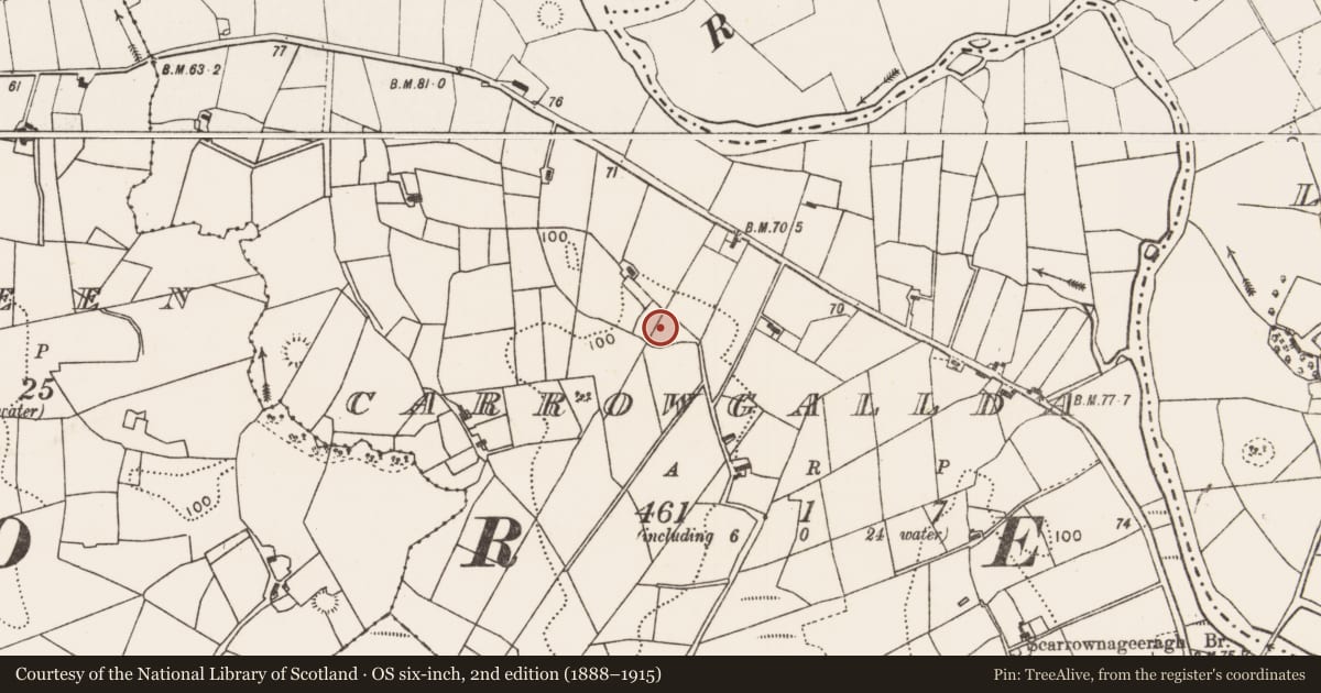 Ordnance Survey six-inch map, 2nd edition (1888–1915) covering the location of Ringfort - rath, Carrowgallda, County Mayo, with a pin at the register's coordinates
