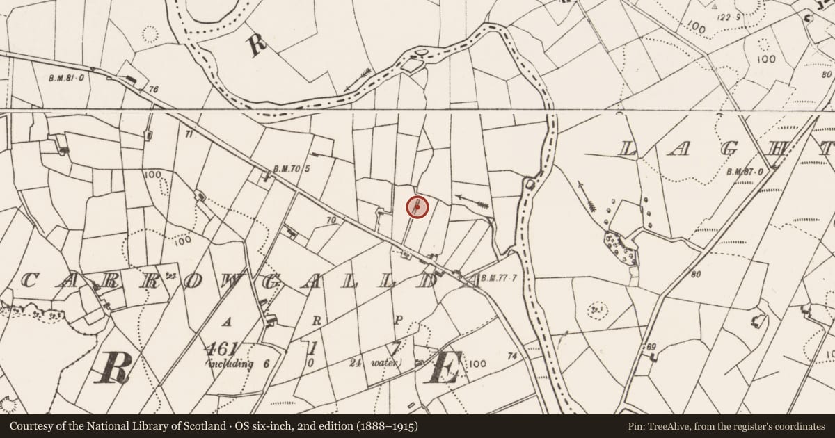 Ordnance Survey six-inch map, 2nd edition (1888–1915) covering the location of Ringfort - rath, Carrowgallda, County Mayo, with a pin at the register's coordinates