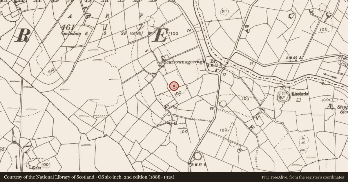 Ordnance Survey six-inch map, 2nd edition (1888–1915) covering the location of Ringfort - rath, Carrowgallda, County Mayo, with a pin at the register's coordinates