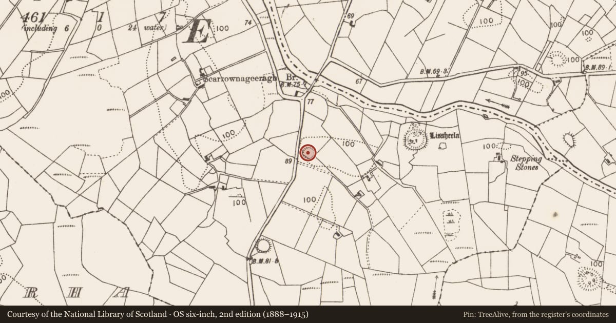Ordnance Survey six-inch map, 2nd edition (1888–1915) covering the location of Ringfort - rath, Carrowgallda, County Mayo, with a pin at the register's coordinates