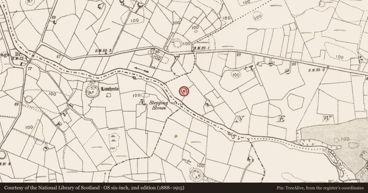 Ordnance Survey six-inch map, 2nd edition (1888–1915) covering the location of Ringfort - rath, Newcastle, County Mayo, with a pin at the register's coordinates