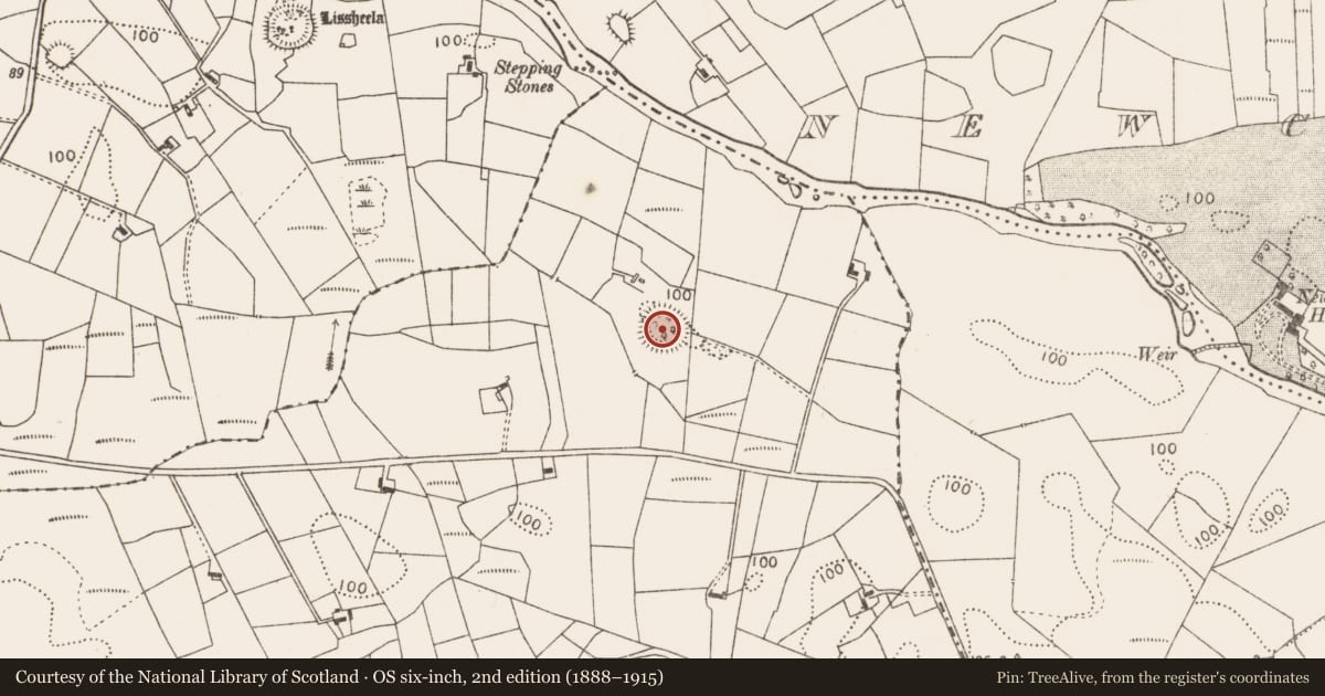 Ordnance Survey six-inch map, 2nd edition (1888–1915) covering the location of Ringfort - rath, Barleyhill, County Mayo, with a pin at the register's coordinates