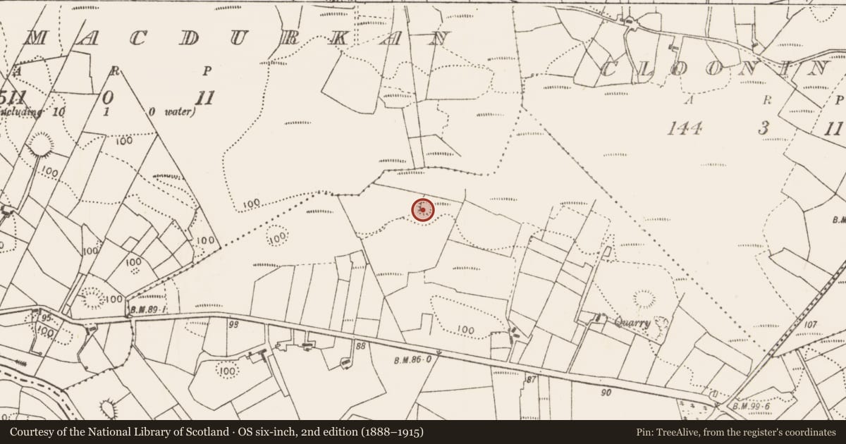 Ordnance Survey six-inch map, 2nd edition (1888–1915) covering the location of Ringfort - rath, Newcastle, County Mayo, with a pin at the register's coordinates
