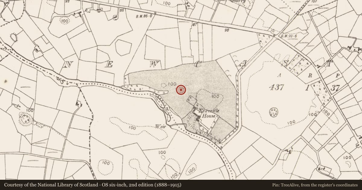 Ordnance Survey six-inch map, 2nd edition (1888–1915) covering the location of Enclosure, Newcastle, County Mayo, with a pin at the register's coordinates