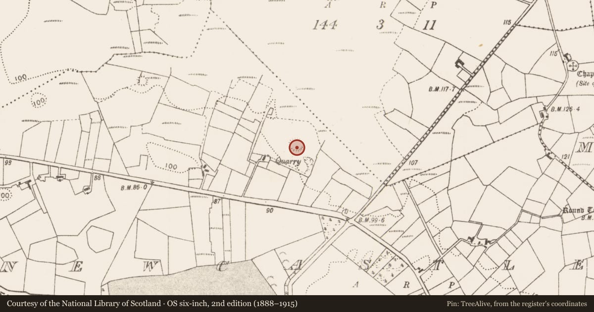 Ordnance Survey six-inch map, 2nd edition (1888–1915) covering the location of Ringfort - rath, Newcastle, County Mayo, with a pin at the register's coordinates