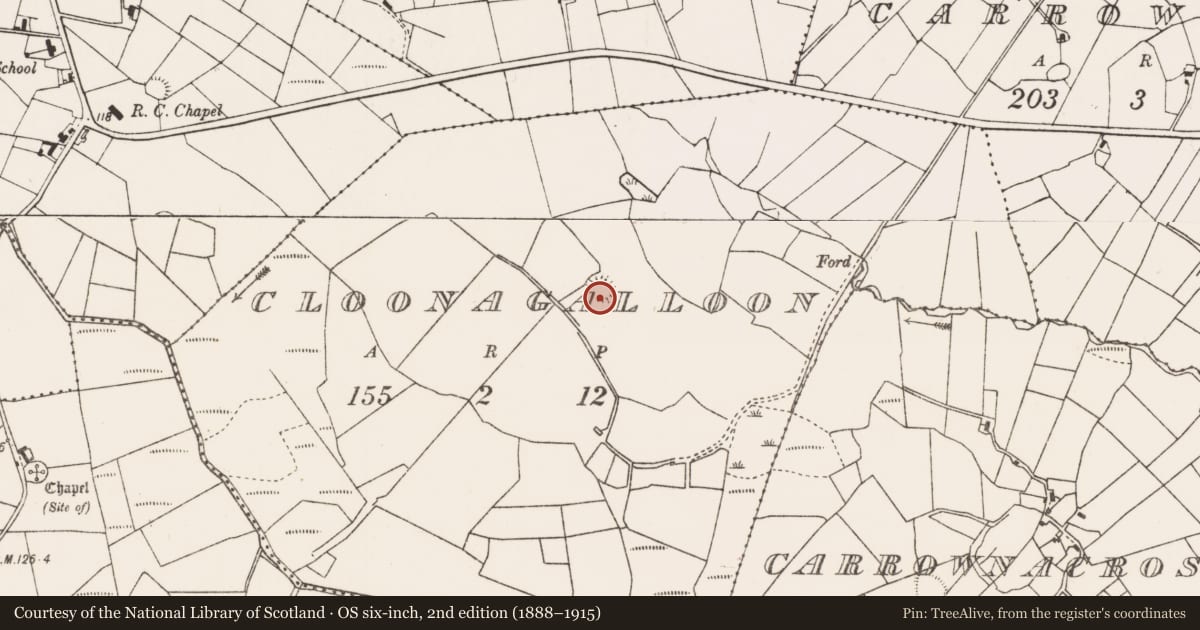 Ordnance Survey six-inch map, 2nd edition (1888–1915) covering the location of Ringfort - rath, Cloonagalloon, County Mayo, with a pin at the register's coordinates