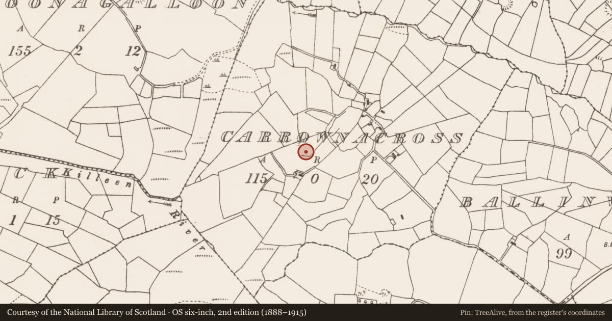 Ordnance Survey six-inch map, 2nd edition (1888–1915) covering the location of Ringfort - rath, Carrownacross (Gallen By., Meelick. Par.), County Mayo, with a pin at the register's coordinates