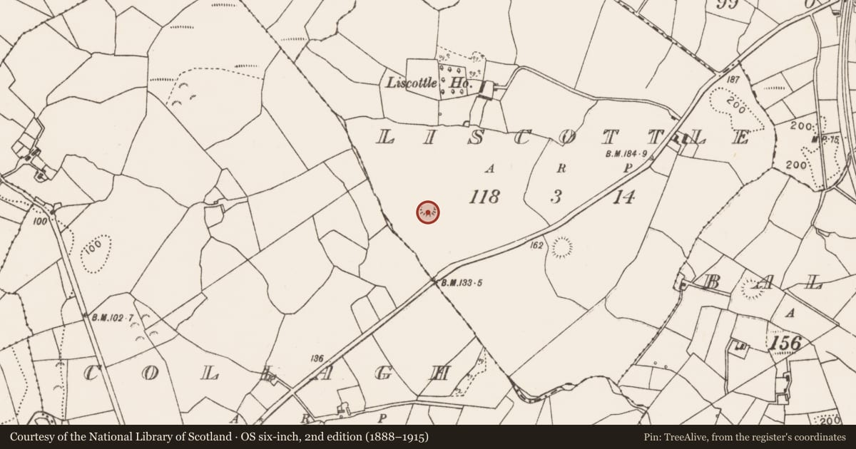 Ordnance Survey six-inch map, 2nd edition (1888–1915) covering the location of Ringfort - rath, Liscottle, County Mayo, with a pin at the register's coordinates
