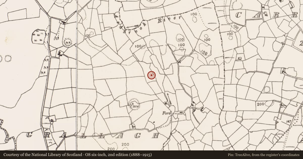 Ordnance Survey six-inch map, 2nd edition (1888–1915) covering the location of Enclosure, Grallagh, County Mayo, with a pin at the register's coordinates