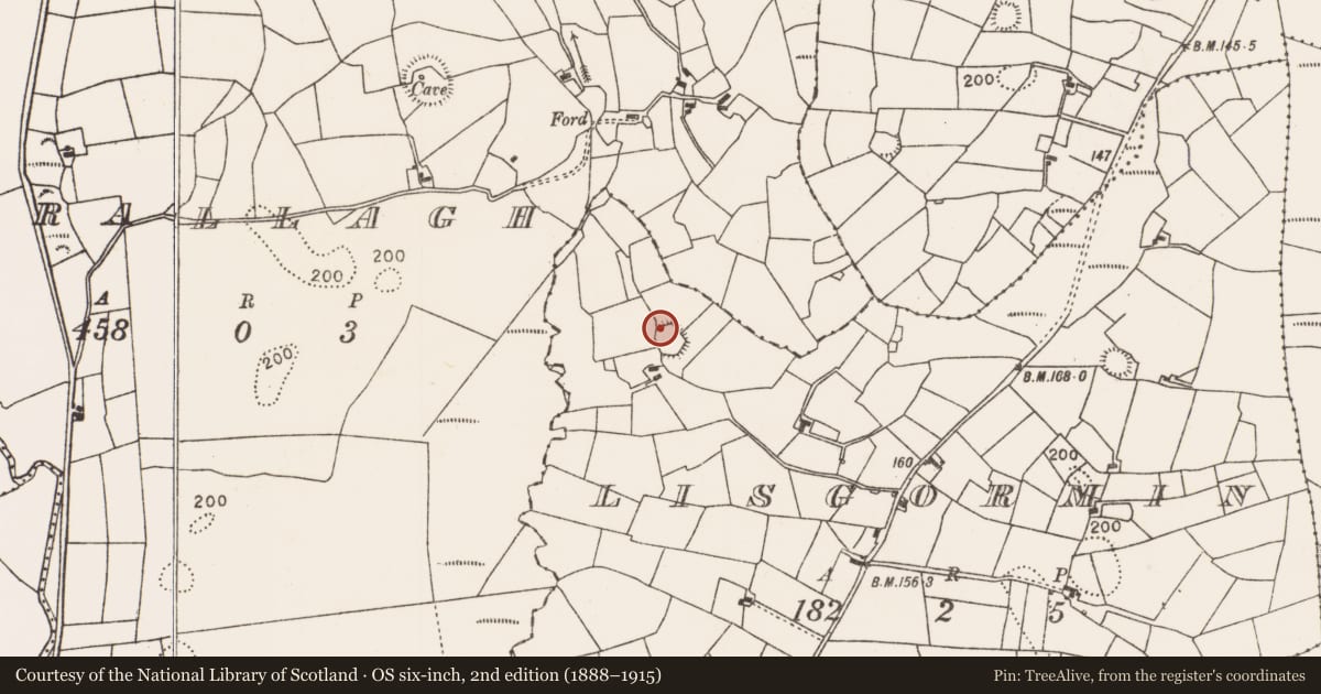 Ordnance Survey six-inch map, 2nd edition (1888–1915) covering the location of Ringfort - rath, Lisgormin, County Mayo, with a pin at the register's coordinates