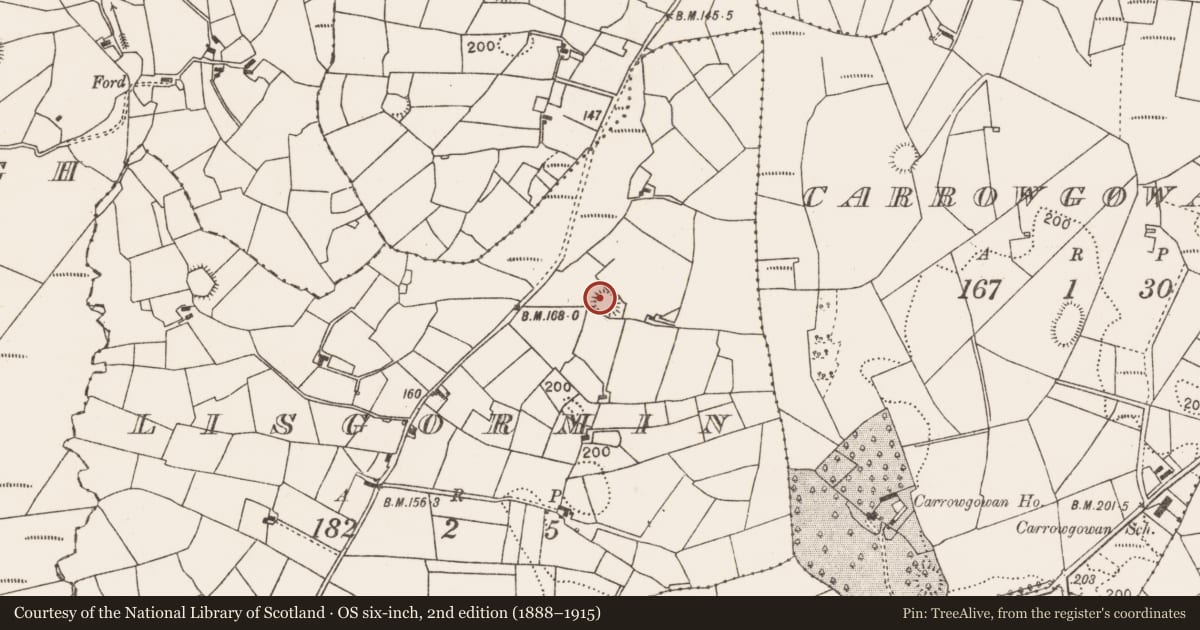Ordnance Survey six-inch map, 2nd edition (1888–1915) covering the location of Ringfort - rath, Lisgormin, County Mayo, with a pin at the register's coordinates