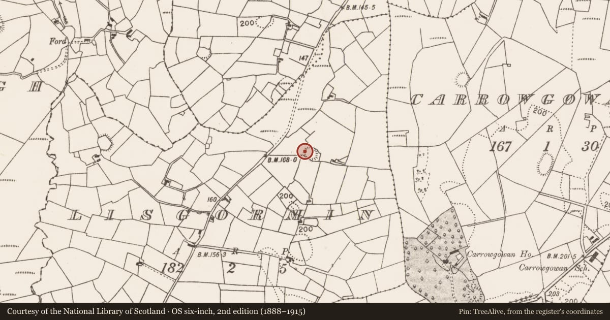 Ordnance Survey six-inch map, 2nd edition (1888–1915) covering the location of Souterrain, Lisgormin, County Mayo, with a pin at the register's coordinates