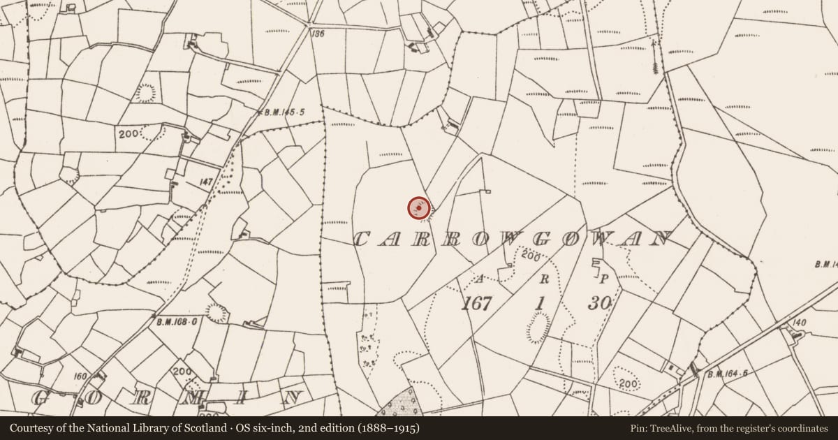 Ordnance Survey six-inch map, 2nd edition (1888–1915) covering the location of Ringfort - rath, Carrowgowan, County Mayo, with a pin at the register's coordinates