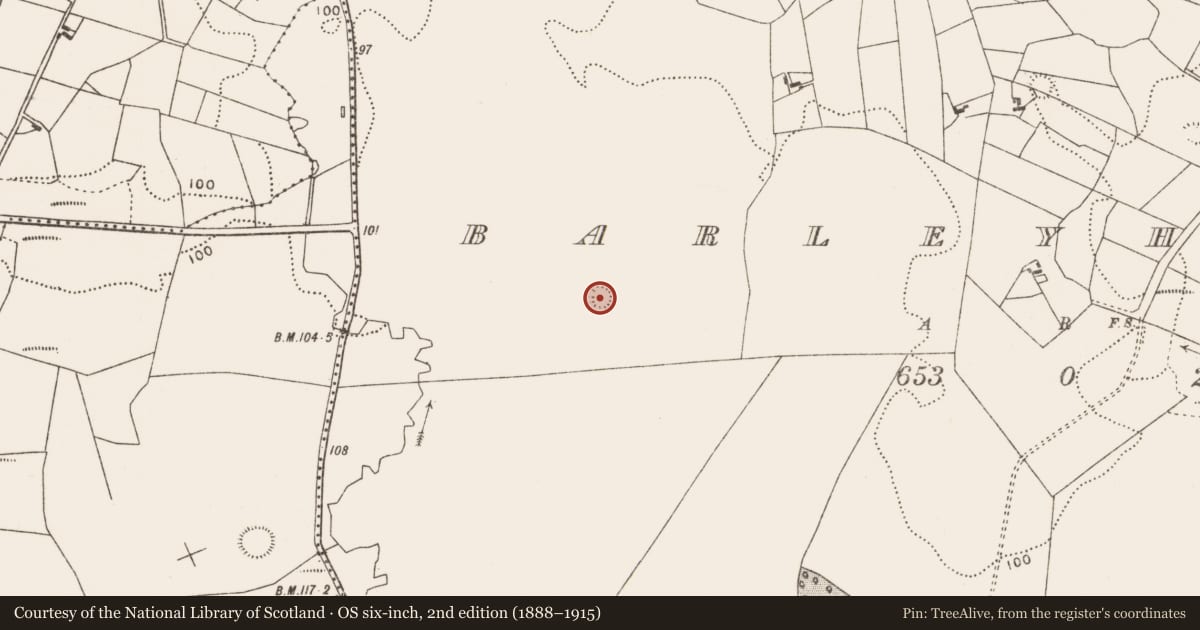 Ordnance Survey six-inch map, 2nd edition (1888–1915) covering the location of Ringfort - rath, Barleyhill, County Mayo, with a pin at the register's coordinates