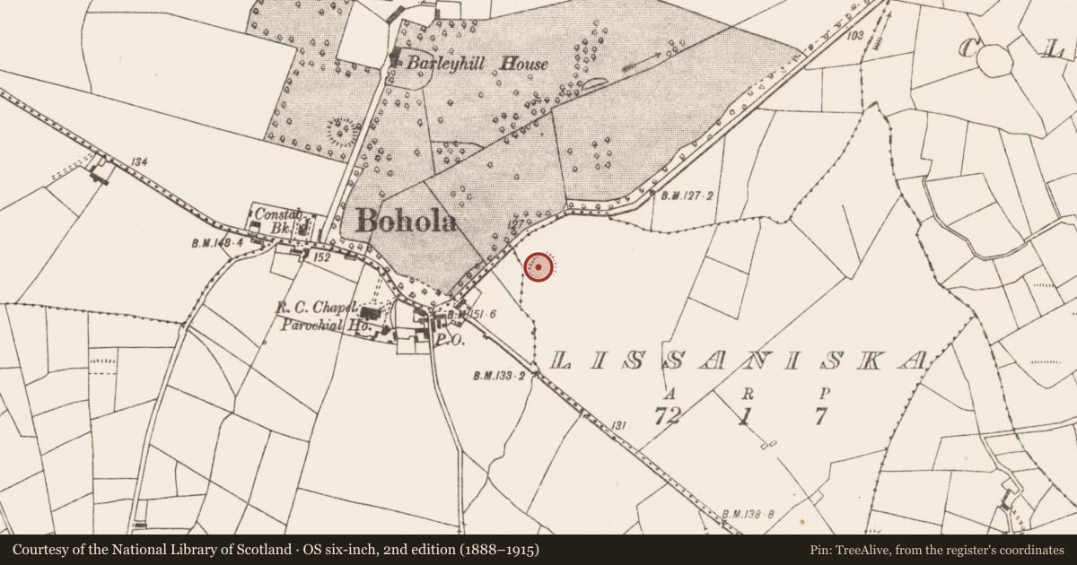 Ordnance Survey six-inch map, 2nd edition (1888–1915) covering the location of Ringfort - rath, Lissaniska, County Mayo, with a pin at the register's coordinates