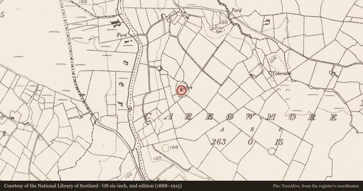 Ordnance Survey six-inch map, 2nd edition (1888–1915) covering the location of Ringfort - rath, Carrowmore (Gallen By., Bohola Par.), County Mayo, with a pin at the register's coordinates