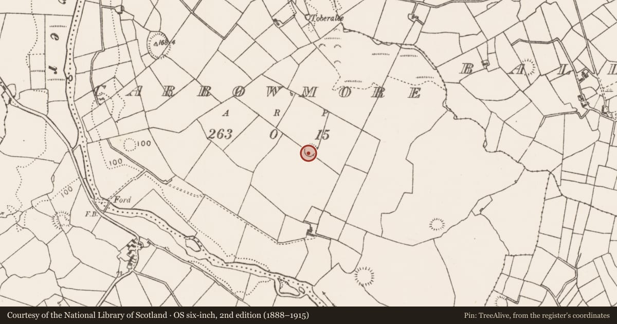 Ordnance Survey six-inch map, 2nd edition (1888–1915) covering the location of Ringfort - rath, Carrowmore (Gallen By., Bohola Par.), County Mayo, with a pin at the register's coordinates