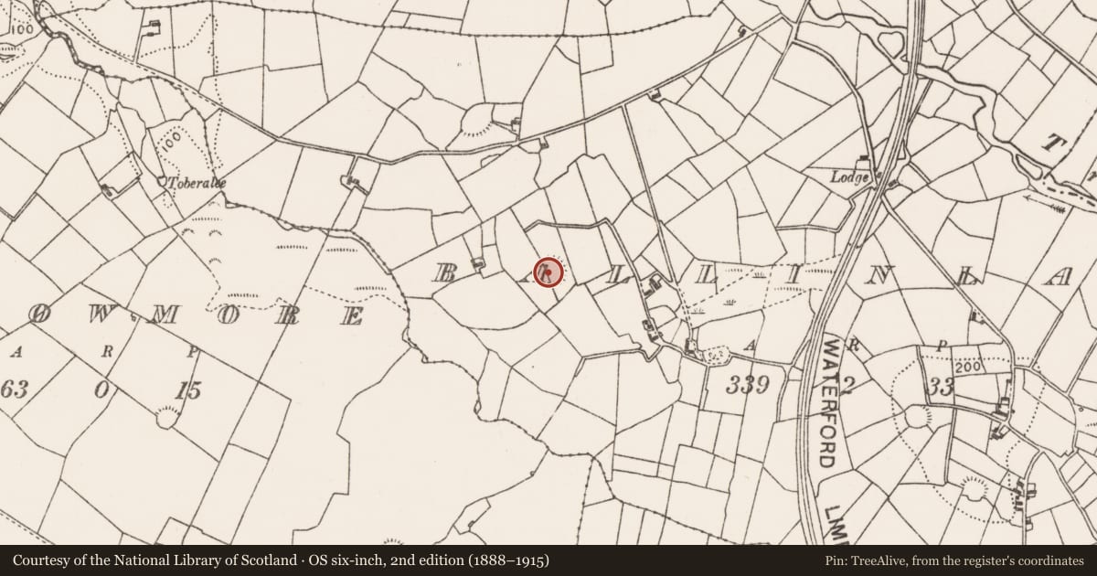 Ordnance Survey six-inch map, 2nd edition (1888–1915) covering the location of Ringfort - rath, Ballinlag, County Mayo, with a pin at the register's coordinates