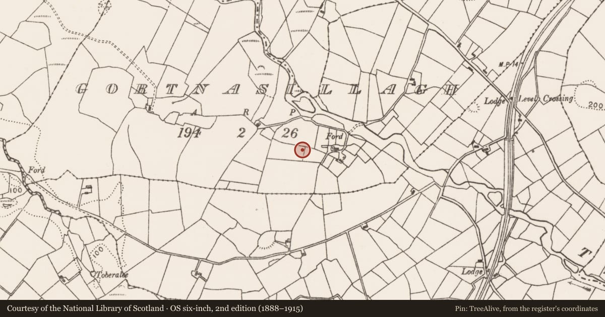 Ordnance Survey six-inch map, 2nd edition (1888–1915) covering the location of Barrow - ring-barrow, Gortnasillagh, County Mayo, with a pin at the register's coordinates