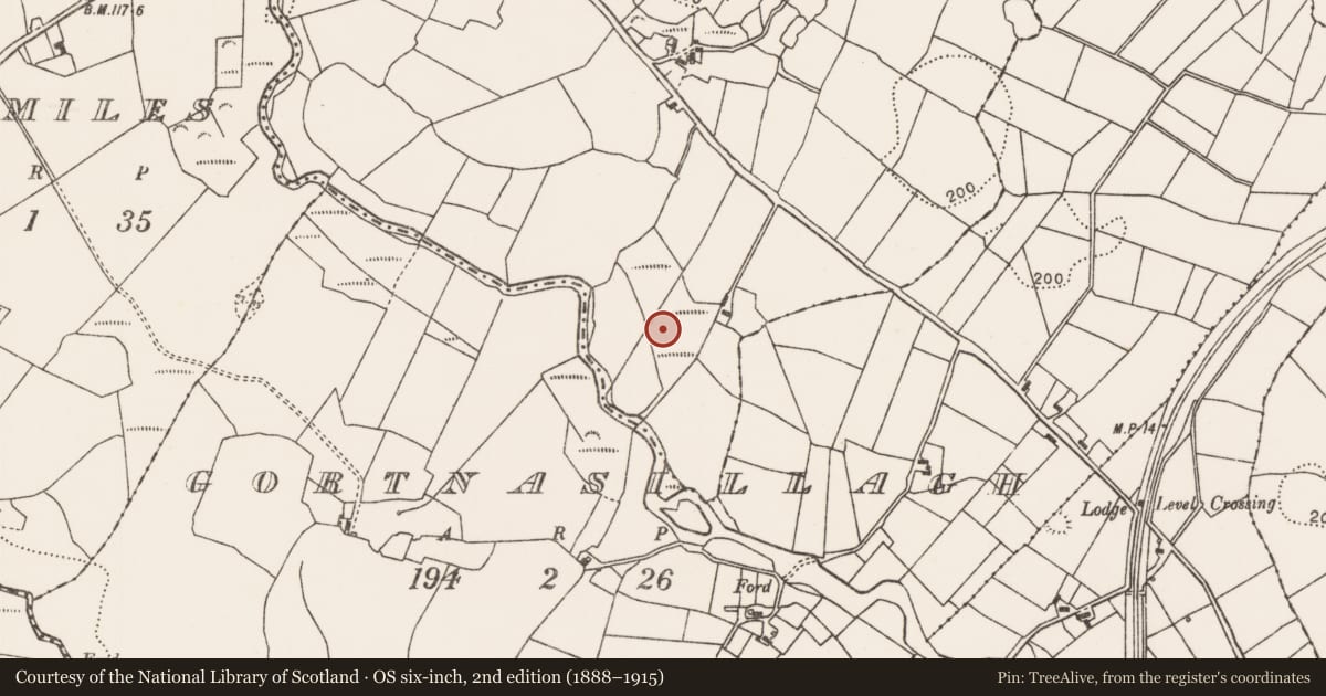 Ordnance Survey six-inch map, 2nd edition (1888–1915) covering the location of Barrow - ring-barrow, Collagh, County Mayo, with a pin at the register's coordinates