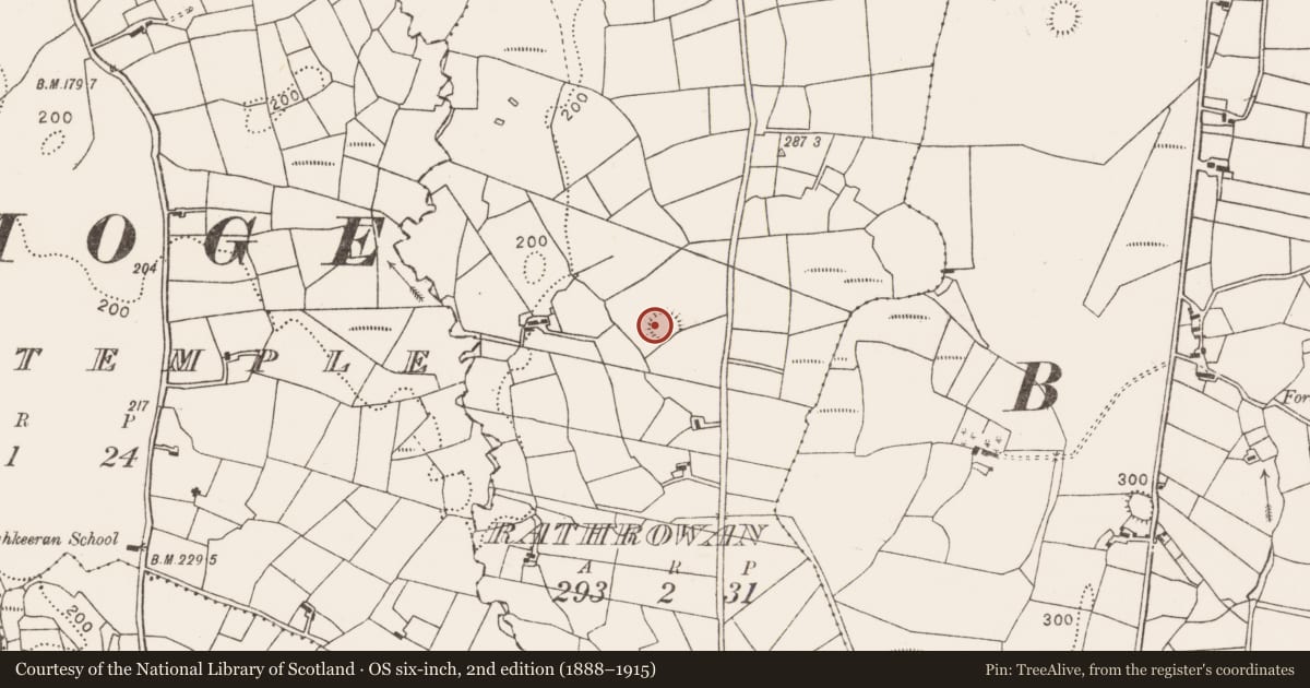 Ordnance Survey six-inch map, 2nd edition (1888–1915) covering the location of Ringfort - rath, Rathrowan, County Mayo, with a pin at the register's coordinates