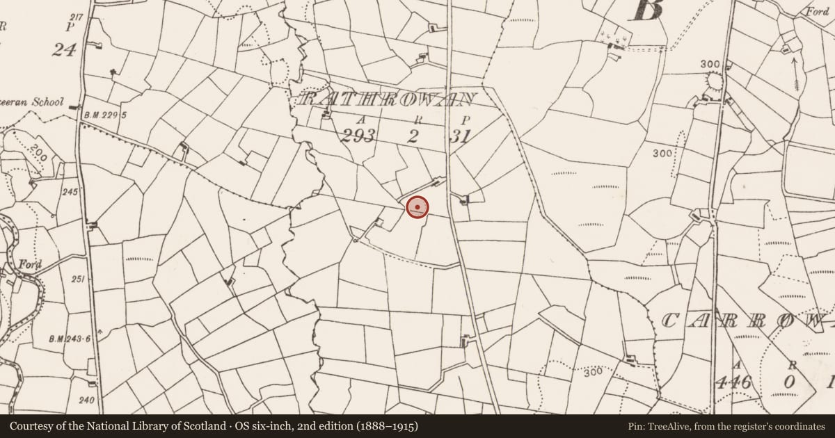 Ordnance Survey six-inch map, 2nd edition (1888–1915) covering the location of Souterrain, Rathrowan, County Mayo, with a pin at the register's coordinates