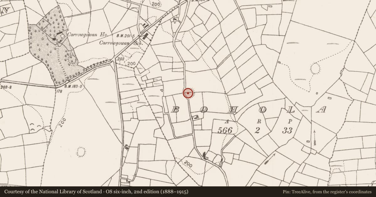 Ordnance Survey six-inch map, 2nd edition (1888–1915) covering the location of Ringfort - rath, Bohola, County Mayo, with a pin at the register's coordinates
