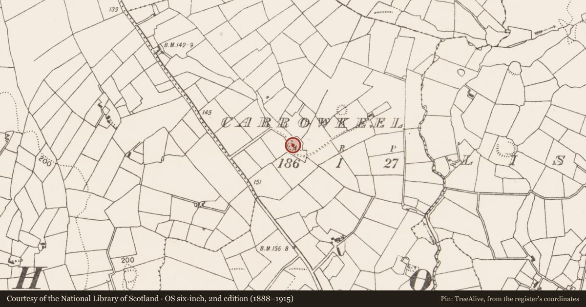 Ordnance Survey six-inch map, 2nd edition (1888–1915) covering the location of Ringfort - rath, Carrowkeel, County Mayo, with a pin at the register's coordinates