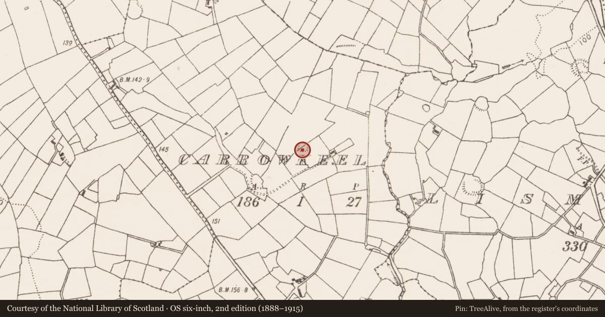 Ordnance Survey six-inch map, 2nd edition (1888–1915) covering the location of Ringfort - rath, Carrowkeel (Carra By., Burriscarra Par.), County Mayo, with a pin at the register's coordinates