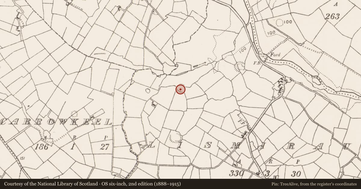 Ordnance Survey six-inch map, 2nd edition (1888–1915) covering the location of Ringfort - rath, Lismiraun, County Mayo, with a pin at the register's coordinates