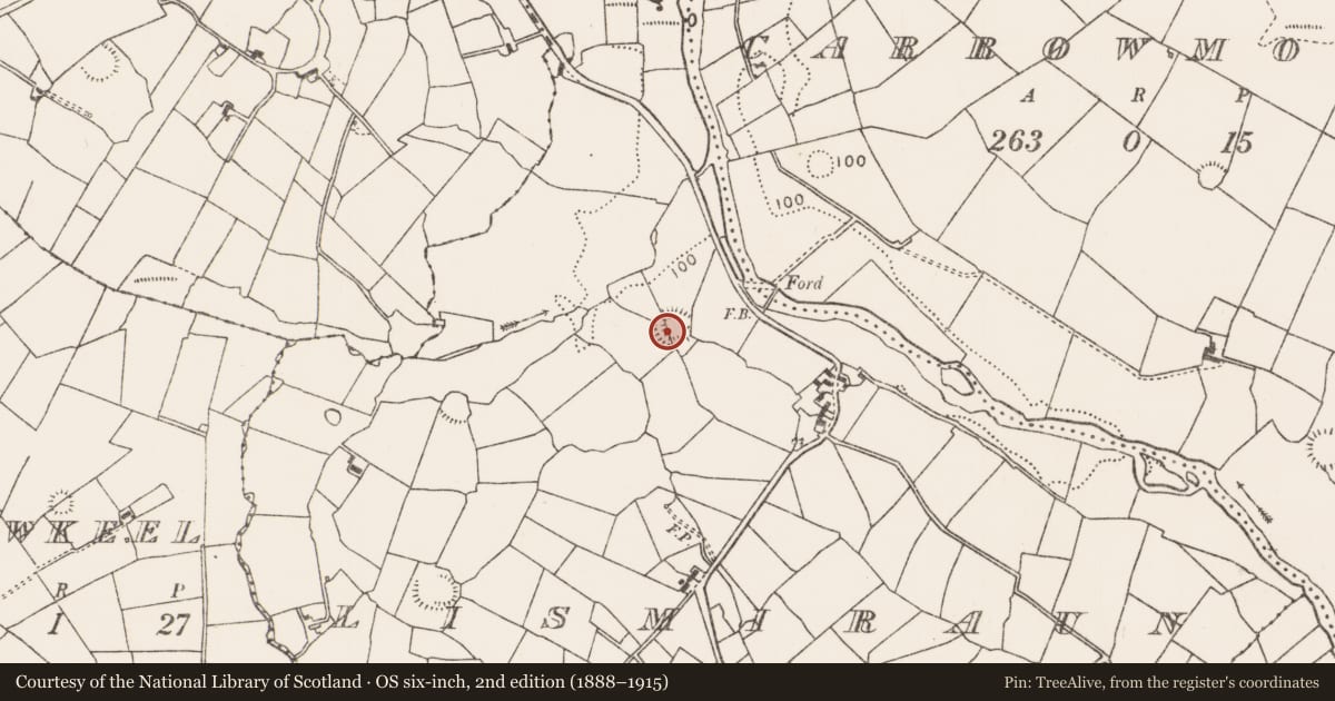 Ordnance Survey six-inch map, 2nd edition (1888–1915) covering the location of Ringfort - rath, Lismiraun, County Mayo, with a pin at the register's coordinates