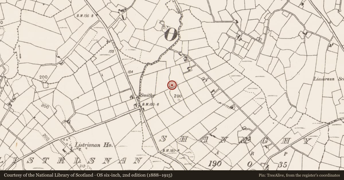 Ordnance Survey six-inch map, 2nd edition (1888–1915) covering the location of Ringfort - rath, Shanaghy, County Mayo, with a pin at the register's coordinates