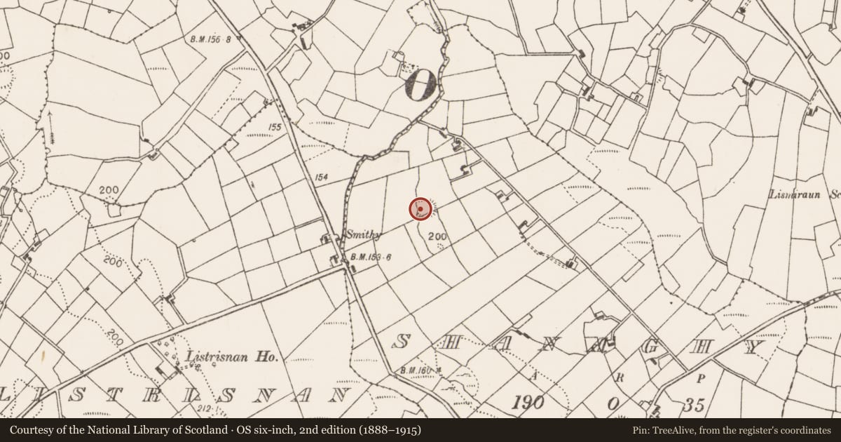 Ordnance Survey six-inch map, 2nd edition (1888–1915) covering the location of Souterrain, Shanaghy, County Mayo, with a pin at the register's coordinates