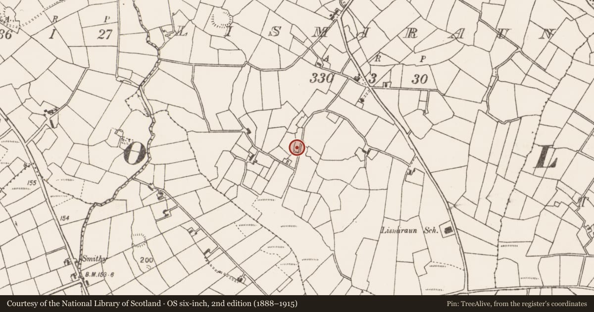 Ordnance Survey six-inch map, 2nd edition (1888–1915) covering the location of Ringfort - rath, Lismiraun, County Mayo, with a pin at the register's coordinates