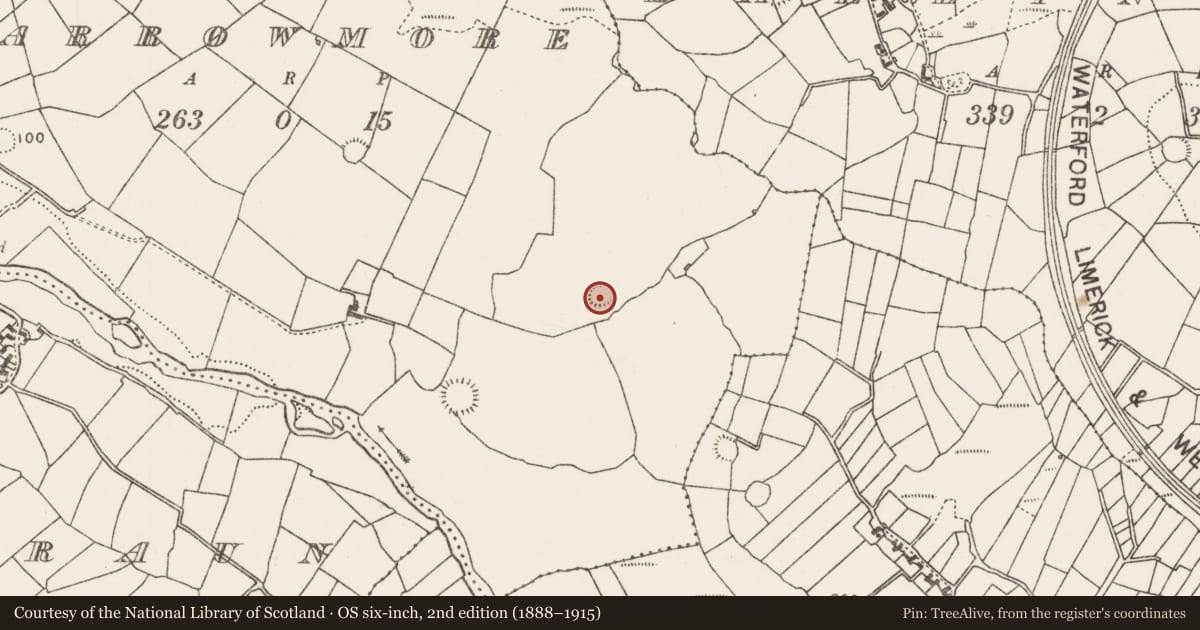 Ordnance Survey six-inch map, 2nd edition (1888–1915) covering the location of Ringfort - rath, Carrowmore (Gallen By., Bohola Par.), County Mayo, with a pin at the register's coordinates