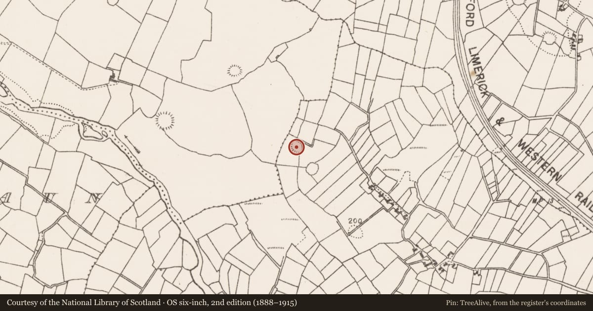 Ordnance Survey six-inch map, 2nd edition (1888–1915) covering the location of Ringfort - rath, Treanfohanaun, County Mayo, with a pin at the register's coordinates