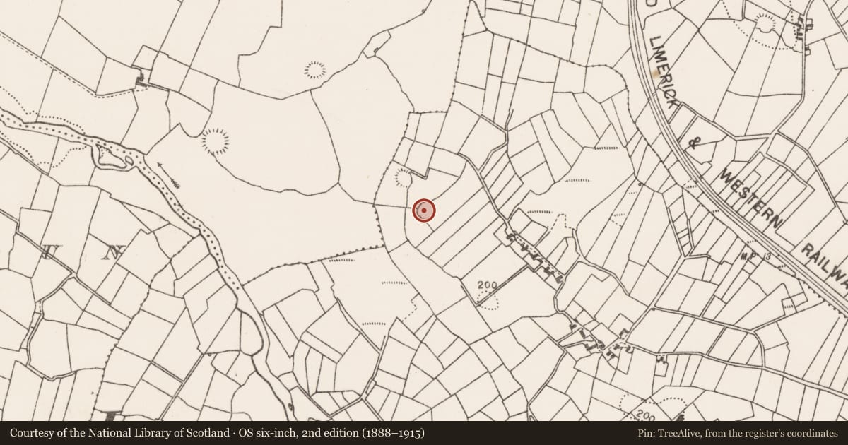 Ordnance Survey six-inch map, 2nd edition (1888–1915) covering the location of Ringfort - rath, Treanfohanaun, County Mayo, with a pin at the register's coordinates