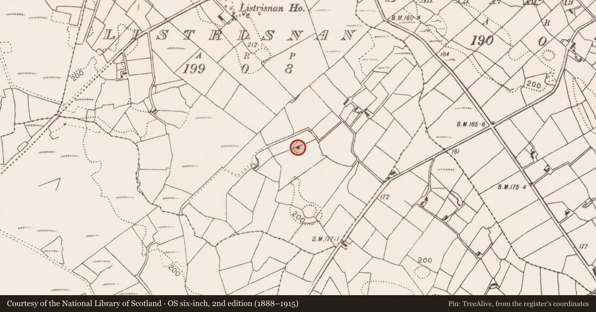 Ordnance Survey six-inch map, 2nd edition (1888–1915) covering the location of Ringfort - rath, Listrisnan, County Mayo, with a pin at the register's coordinates