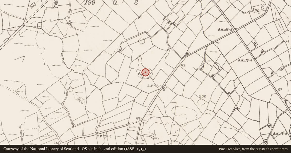 Ordnance Survey six-inch map, 2nd edition (1888–1915) covering the location of Ringfort - rath, Listrisnan, County Mayo, with a pin at the register's coordinates