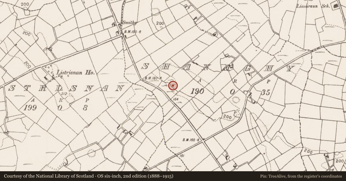 Ordnance Survey six-inch map, 2nd edition (1888–1915) covering the location of Children's burial ground, Shanaghy, County Mayo, with a pin at the register's coordinates
