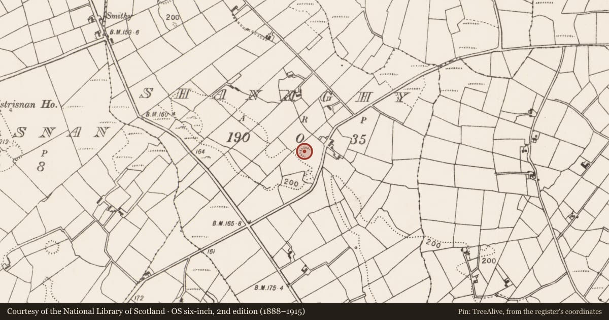 Ordnance Survey six-inch map, 2nd edition (1888–1915) covering the location of Ringfort - rath, Shanaghy, County Mayo, with a pin at the register's coordinates