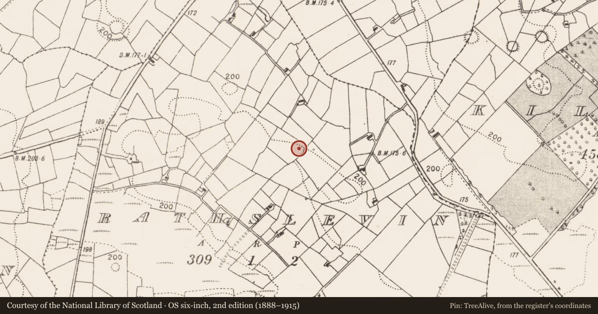 Ordnance Survey six-inch map, 2nd edition (1888–1915) covering the location of Ringfort - rath, Rathslevin, County Mayo, with a pin at the register's coordinates