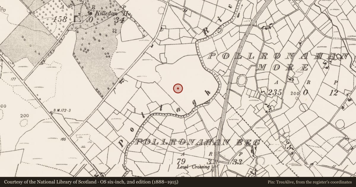 Ordnance Survey six-inch map, 2nd edition (1888–1915) covering the location of Enclosure, Killedan, County Mayo, with a pin at the register's coordinates