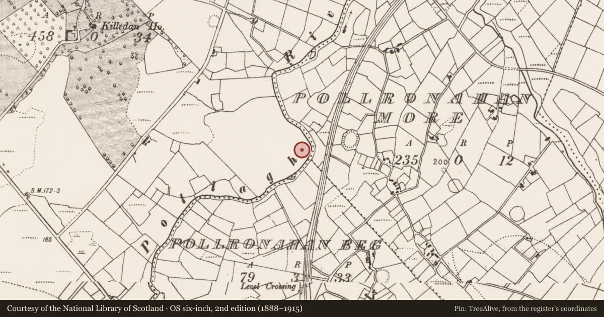Ordnance Survey six-inch map, 2nd edition (1888–1915) covering the location of Megalithic tomb - unclassified, Killedan, County Mayo, with a pin at the register's coordinates