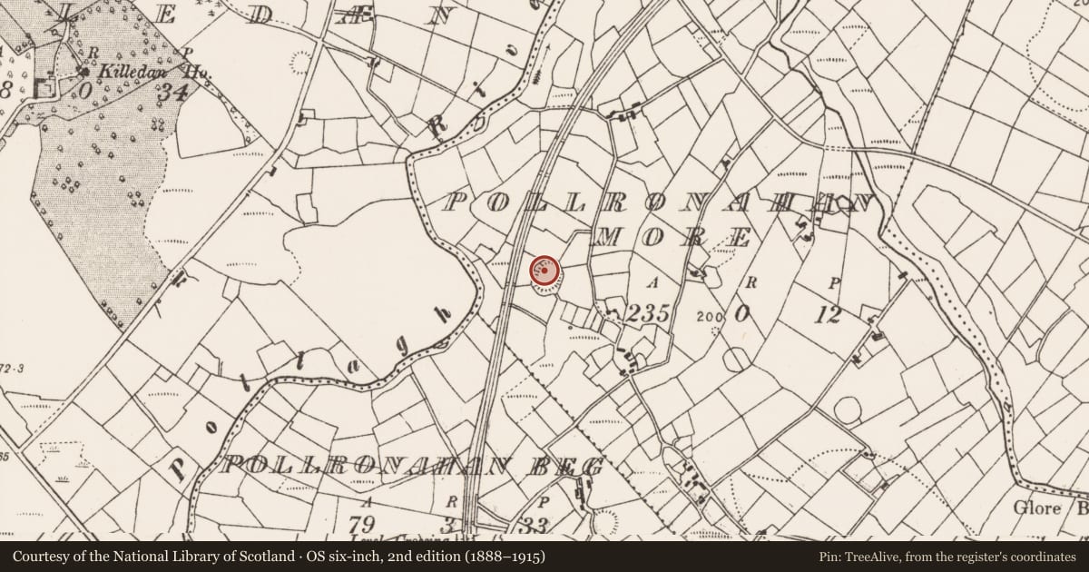 Ordnance Survey six-inch map, 2nd edition (1888–1915) covering the location of Ringfort - rath, Pollronahan More, County Mayo, with a pin at the register's coordinates